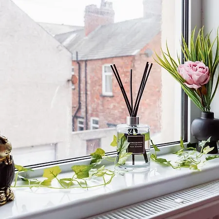 Brown Ball Feriehus *