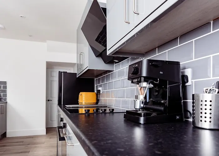 Brown Ball בארו אין פרנס