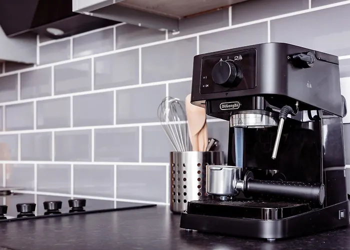 Brown Ball בארו אין פרנס