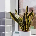 Brown Ball Σπίτι διακοπών