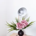 Brown Ball Σπίτι διακοπών *