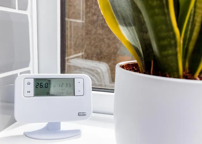 Holiday home Brown Ball *