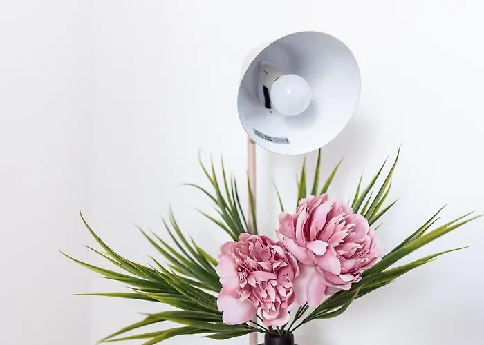 Brown Ball Сasa de vacaciones *