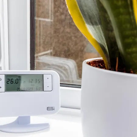 Дом отдыха Brown Ball *